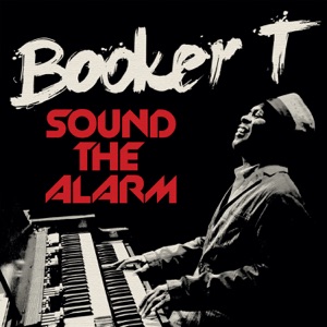 Don't Stop Your Love by Booker T.