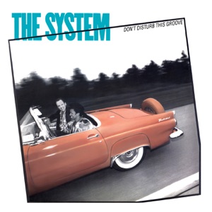 You Are in My System by The System